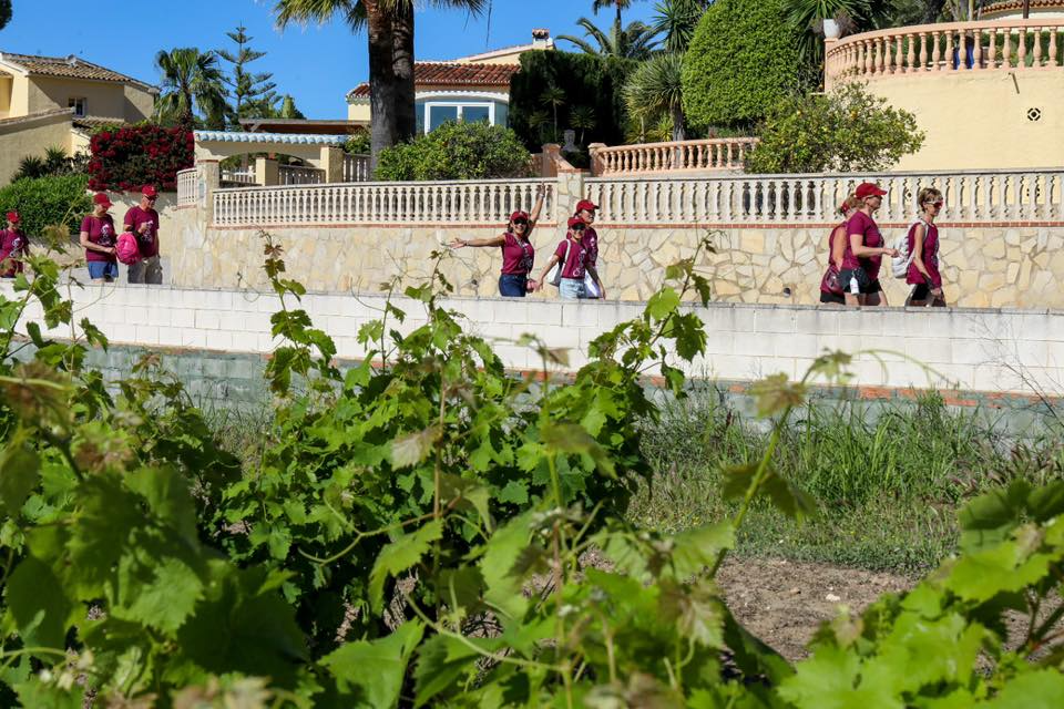 Celebrations at the Vineyard Walk