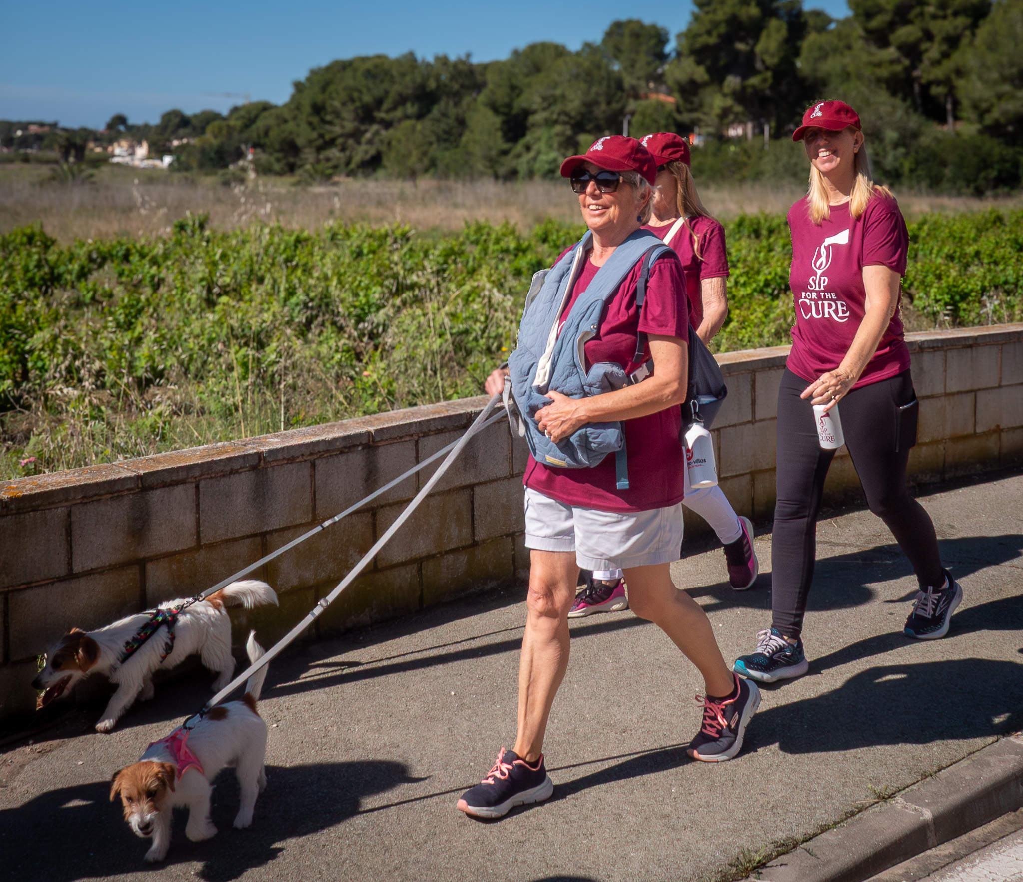 Vineyard Walk celebration