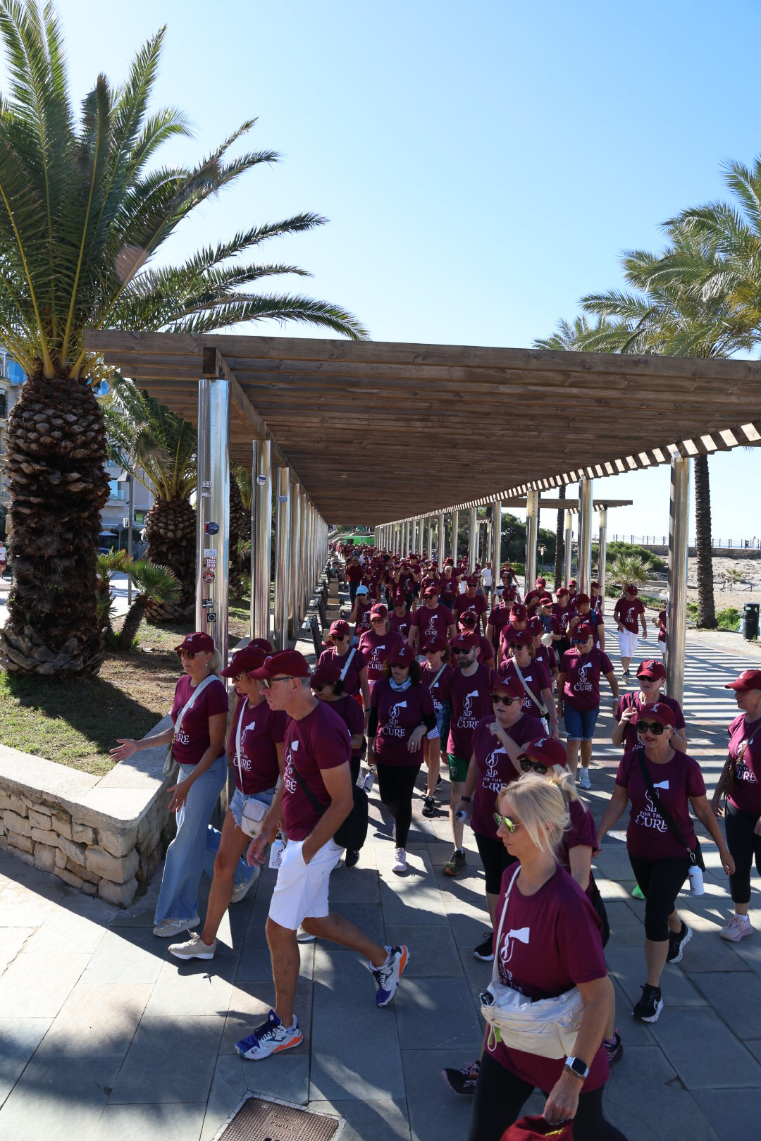 Walkers along the beautiful pergola route